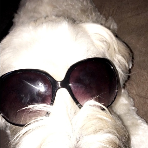 Meet your Posher, Julie - Picture 1 of 1